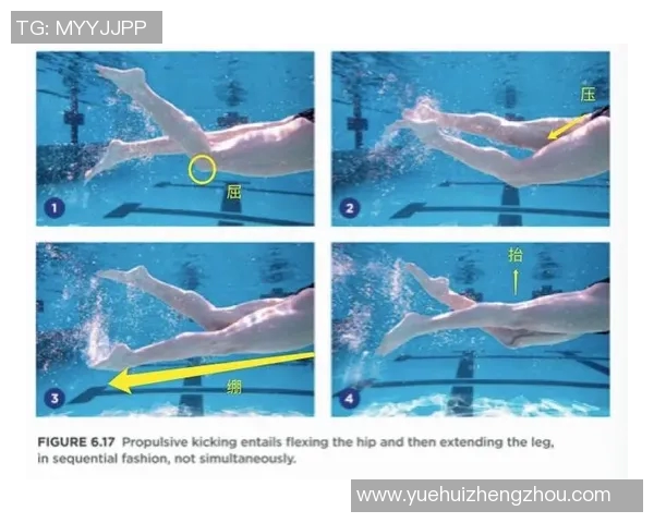 提升自由泳技巧 从入门到精通的实用视频教程