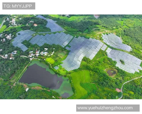 新加坡推出新政策促进科技创新与绿色发展 助力全球经济复苏