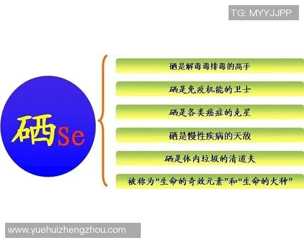 运动科学视角下的身体素质提升与运动表现优化策略研究