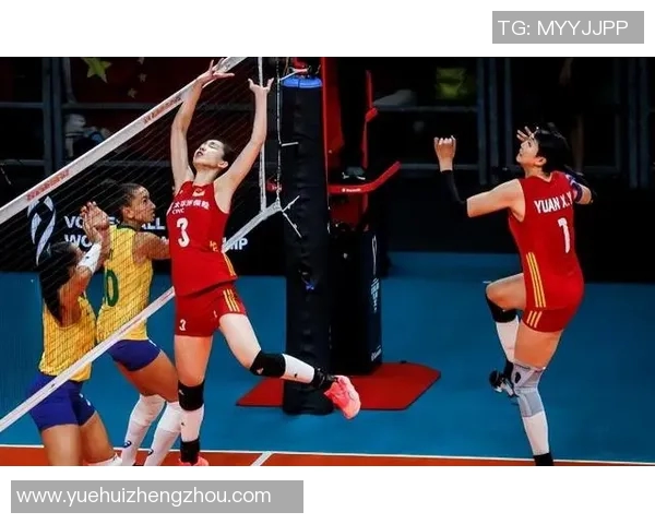 上海排球队比赛经验分享与技术分析聚焦排球运动发展新趋势