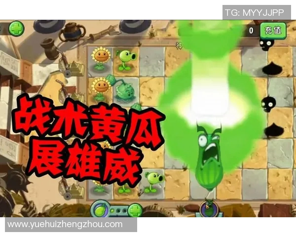 李秀英独家分享DOTA2游戏心得与技巧助你提升实力与战术水平