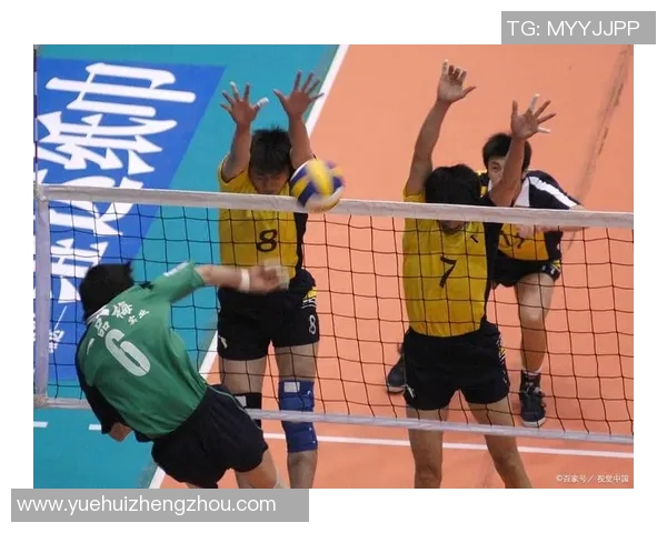 武汉排球队协作能力显著提升荣获全国排球团队协作排名新高