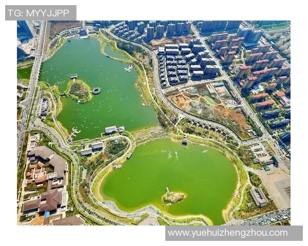 西安羽毛球队阵地战全景解析与发展趋势探讨 西安羽毛球队阵地战全景解析与发展趋势探讨