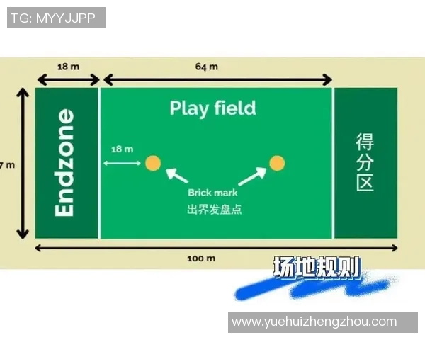上海飞盘队与北京飞盘队战术分析及赛后总结探讨